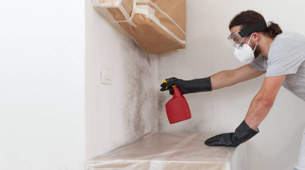 Professional Mold Removal technician working in Churchville, NY